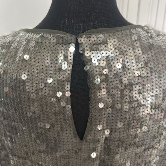 Velvet by Graham & Spencer for Anthropologie Silver Sheath Mini Dress - Picture 5 of 7